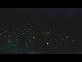 Ekkstacy In Love Slowed Reverb
