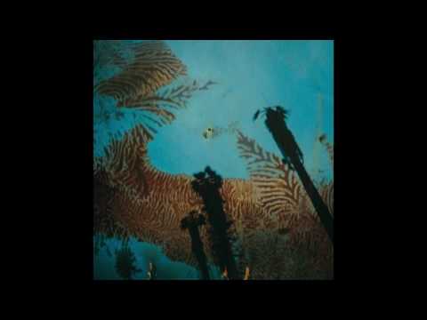 Niños del Cerro - La Pajarería