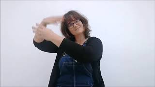 Mes petites mains (LSF) / Printemps des Petits Lecteurs - bibliothèque municipale de Lyon