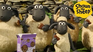 Shaun the Sheep 🐑 Cookie Party! - Cartoons for Kids 🐑 Full Episodes Compilation [1 hour]