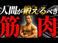 なぜやらない!?もったいなすぎる本来やるべき筋トレ!日体大准教授が解説します!