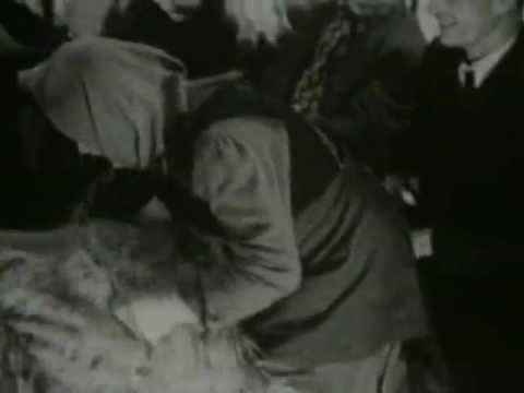 A szamosháti fonó (1955)