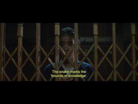 The Handmaiden (Clip 'Library')