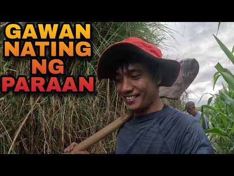 EP513-P3: Gumawa Tayo ng Paraan Para Bumaba Ang Lubog/Baha Sa Lucky Farm