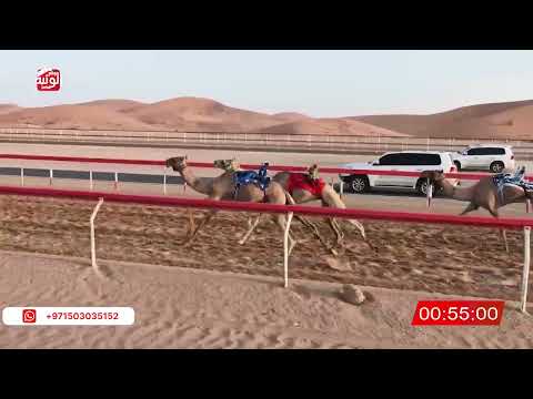  ش 8 (شاهين) لـ حامد صغيرون بن حميد الدرعي 3:03:26 ، شارة الصندوق 2026/08/29 فطامين الرقيعات