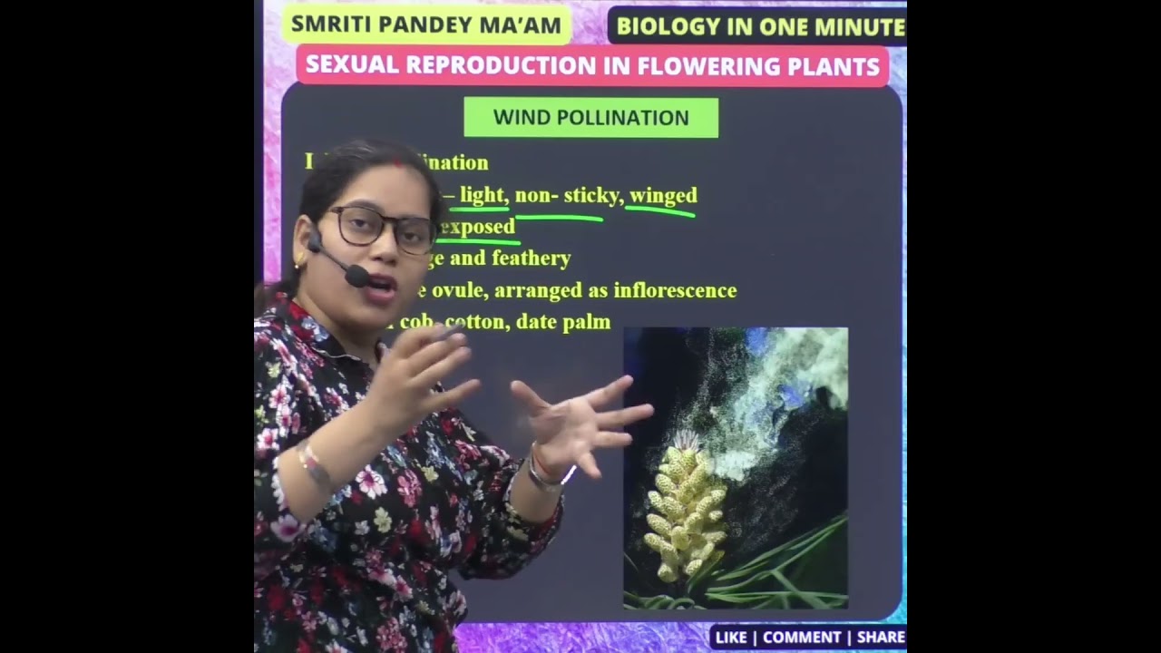 18 WIND POLLINATION #neet #biologyclass12 #biology #reproduction #upsc #education #science