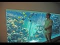 Mies rakensi ison akvaarion olohuoneeseensa