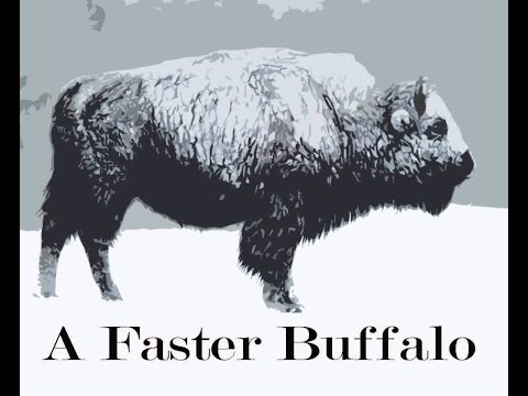 A Faster Buffalo - Paper Money