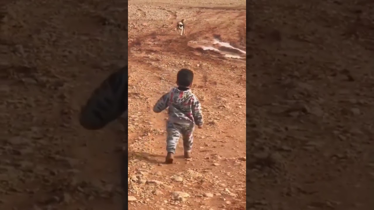 little boy running back from dog #memetemplate #dog