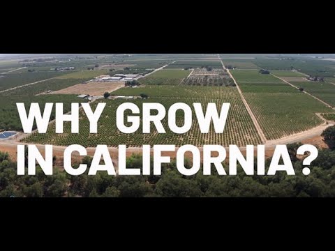 Why grow in California?