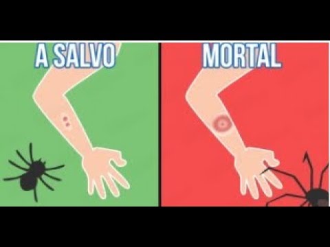 6 Datos útiles que todo el mundo debería saber