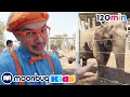 Blippi Visits San Diego Zoo Animals For Kids Animal Cartoons Funny Cartoons Learn About Animals