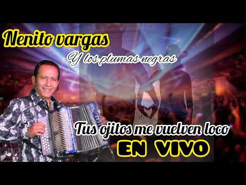 TUS OJITOS ME VUELVEN LOCO [EN VIVO] - NENITO VARGAS Y LOS PLUMAS NEGRAS 2024