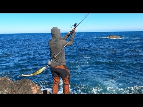 Lure Fishing for Cod With Soft Plastic Lures | Lure Fishing UK