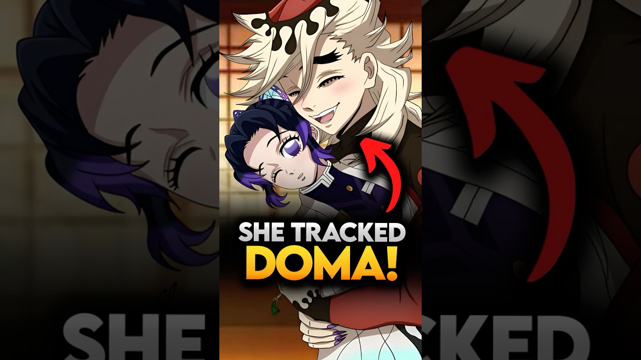 How Each Demon Slayer Found Perfect Demon During Infinity Castle Arc? Demon Slayer #shorts