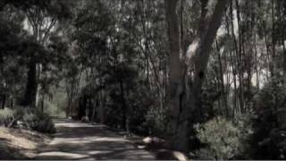 Pat Metheny.........Above The Tree Tops