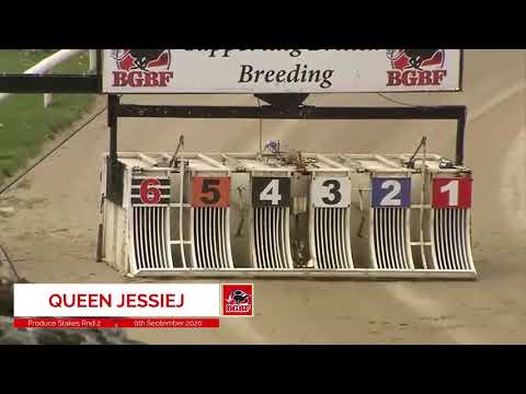 Swindon Produce Stakes Second Round - Heat 2 - Queen JessieJ