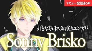 初配信から色々クセがすごいSonny Brisko (サニー・ブリスコー)【Noctyx/ NIJISANJI EN切り抜き】