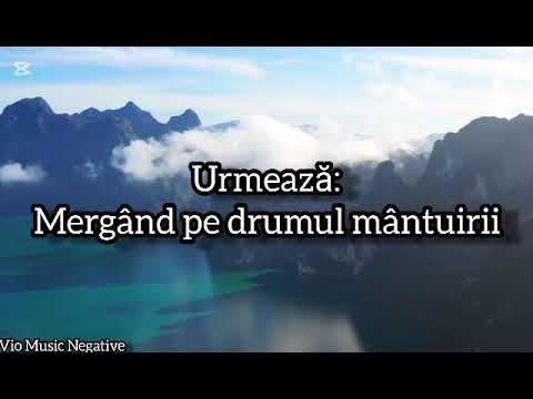 Negativ - Colaj E lupta tot mai grea - Mergând pe drumul 2026 