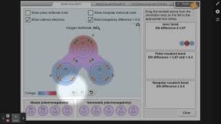 Gizmos Lab Types of Bonds