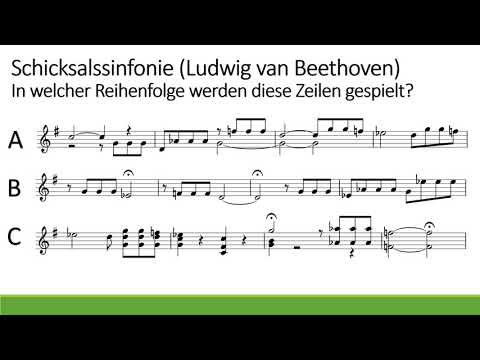 Wiener Klassik - Schicksalssinfonie