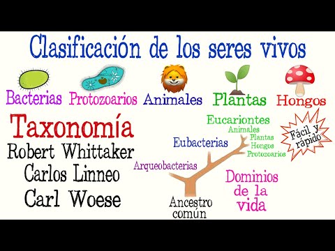 🌿5 Reinos y 3 Dominios de la Vida🐠 | Clasificación de los seres vivos| [Fácil y Rápido] | BIOLOGÍA |