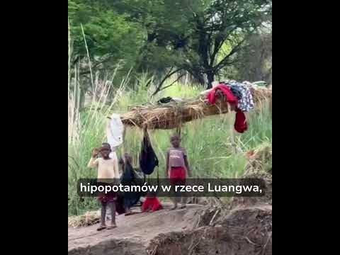 YouTube video preview image