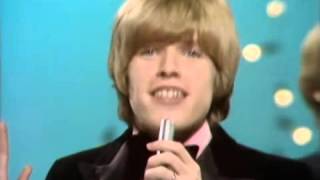 Herman&#39;s Hermits - There&#39;s A Kind Of Hush