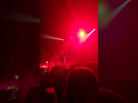 yonii reaction (Hamburg Live  Docks)