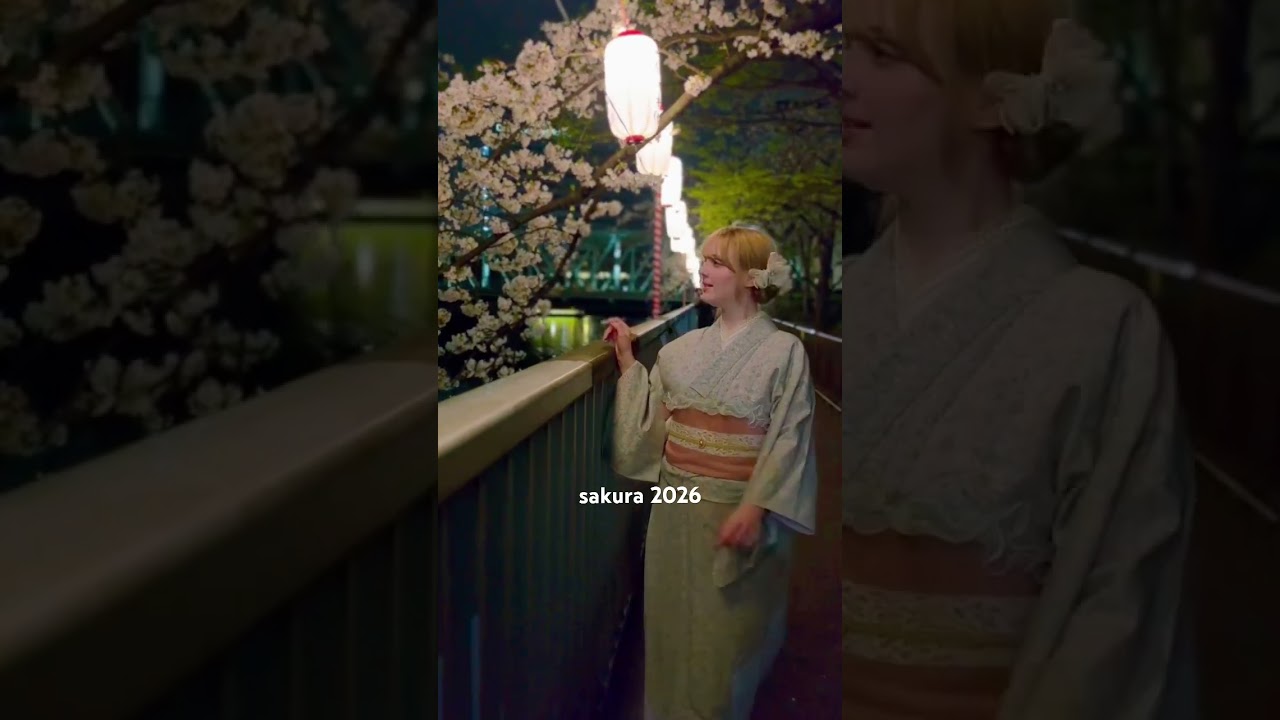 ESTO ES JAPÓN, AHORA. Cerezos en Tokyo ✨🌸🩵