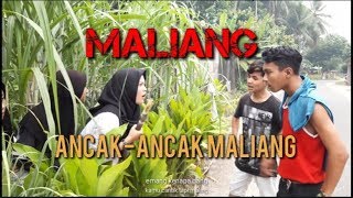 Download lagu MALIANG// lawak minang mp3
