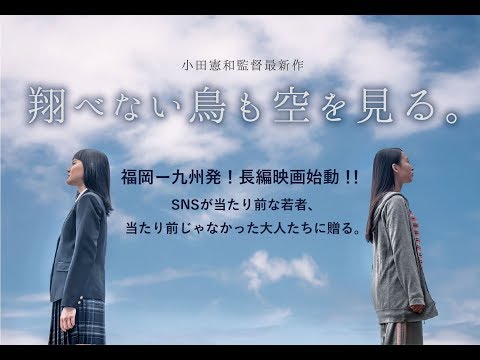 翔べない鳥も空を見る。