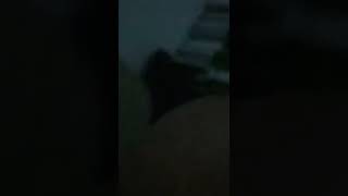 Download lagu 5 film Kisah Cinta Dari SMA film Puspa Indah Taman Hati mp3