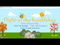 Flight Of The Bumblebee