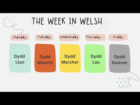Milbourne Lodge - Welsh Words of the Week