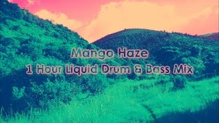 Mango Haze : Liquid Drum & Bass Mix