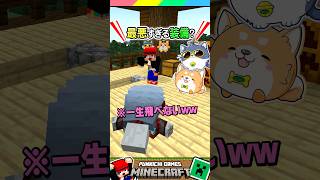 絶対つけたくない最悪な装備？ #マイクラ #マインクラフト #Minecraft #まいくら #クイズ #ゲーム #Shorts