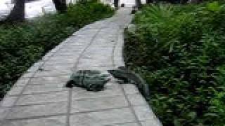 my uncle shawn stays cool under pressure