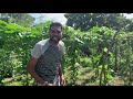 janai-priyai-patalawilla-13-09-2019