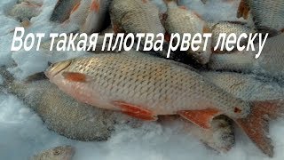 Ловля окуня зимой на тоболе