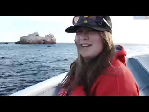 Manta Rays & Mobula Rays [Charity from the mind]