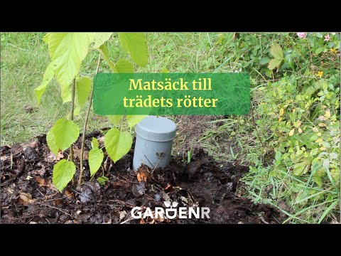 Matsäck till trädets rötter - Trädgårdshacks med GardenR