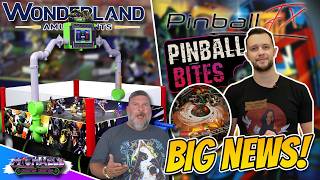 TMNT Sewer Hockey Wonderland Amusements Pre-Sale Pinball FX Pinball Bytes Recap!