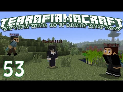 Terrafirmacraft Reloaded - E53 - The D (Minecraft)