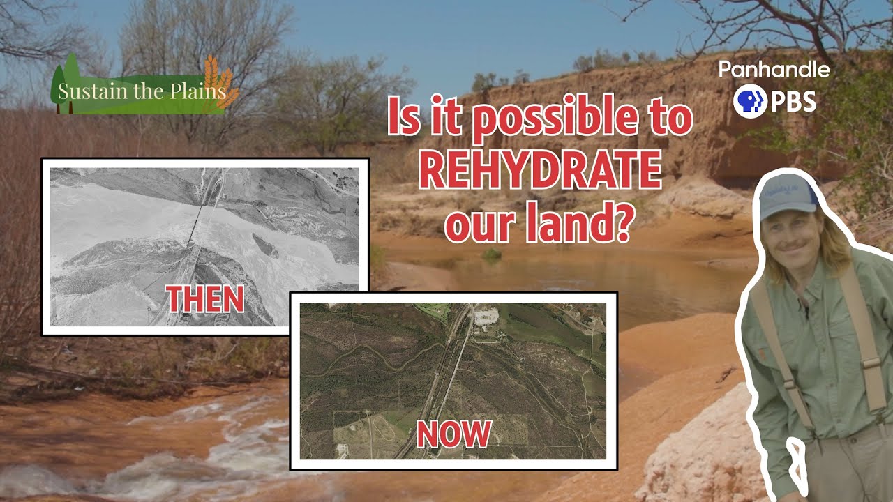 Wetland corridor restoration at Wildcat Bluff - still from Sustain the Plains Episode 9