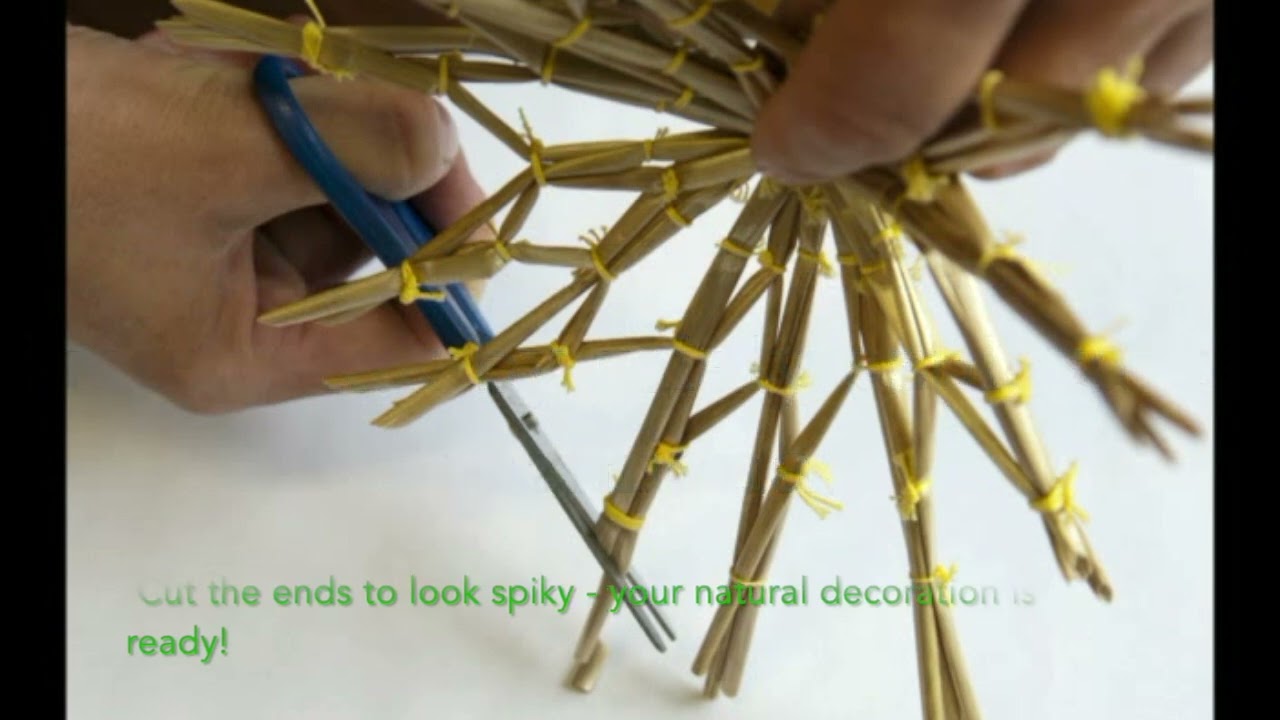 UP-CYCLING Workshops -2023-1-PL01-KA210-YOU-000133199   W Zdrowym Ciele Zdrowy Duch