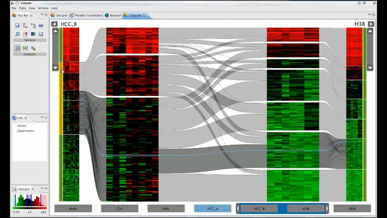 The Caleydo Matchmaker: Analyzing Multidimensional Data.