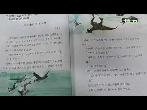 , title : '[초등필독]막내 기러기의 첫 여행/칭찬'