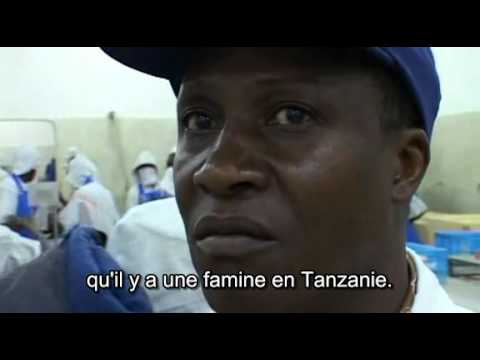 Le Chauchemar de Darwin  documentaire  Francais2