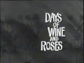 Days of Wine and Roses opening theme by Henry Mancini - Spiffykitchen Days of Wine and Roses opening theme by Henry Mancini
